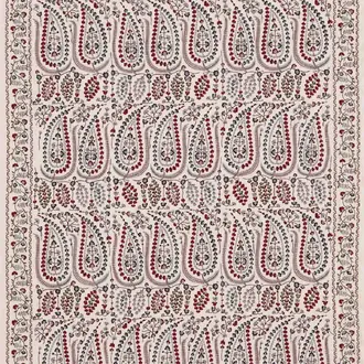Jayshree 331627