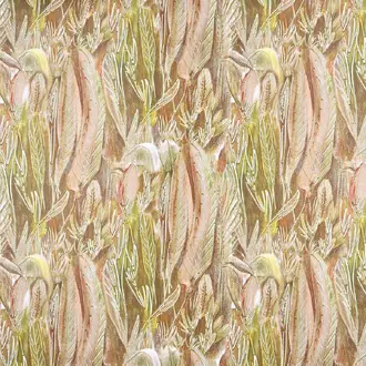 Calathea FP091001