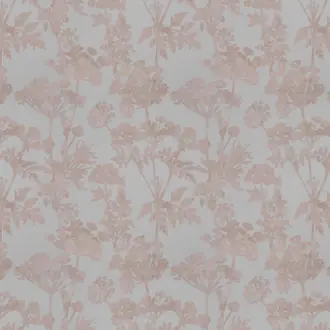 Achillea JA8051-060