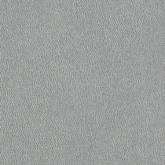 Manero 19 Silver Dime