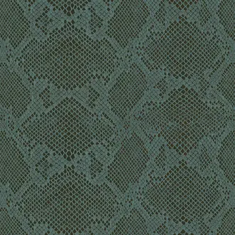 Olinda 21 Ivy