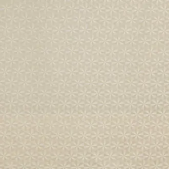 Braxton 4240-076