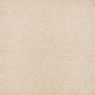 Nivu Beech