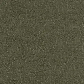 Anshu FDG2896-43