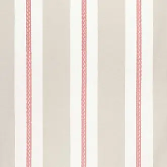 Alden Stripe Embroidery AW24529