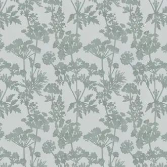 Achillea JA8051-080