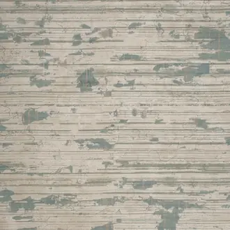 Fresco EDM53