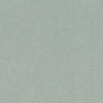 Saline 4752 15 09