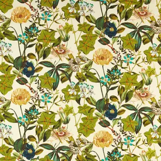 Passiflora Outdoor F1672-01