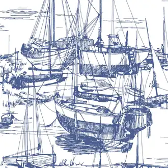 Zingara Delft