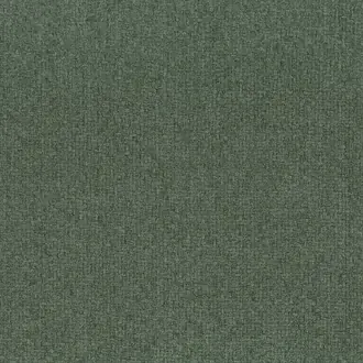 Nikko 13