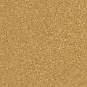 Manero 24 Bambi