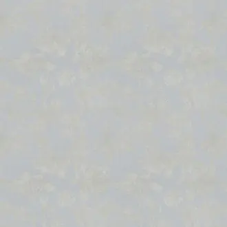 Achillea JA8051-091