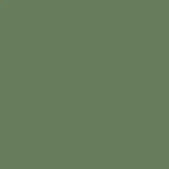 Rase LCT-1180-016