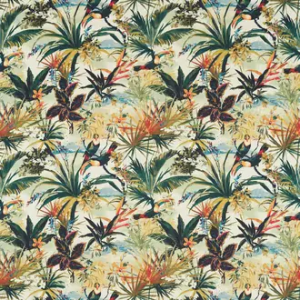 Toucan F1614-01