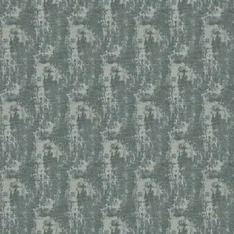 Rey 17 Lichen