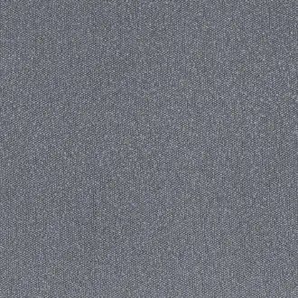 Taiga 4594 08 29
