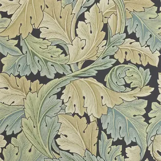 Acanthus 212550