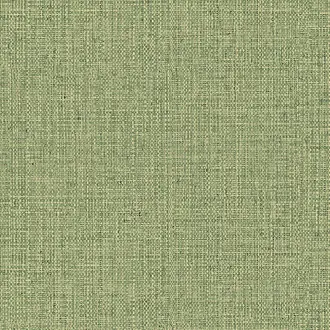 Nongo 49517