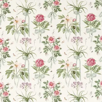 Cupid's Beau DGDF227185