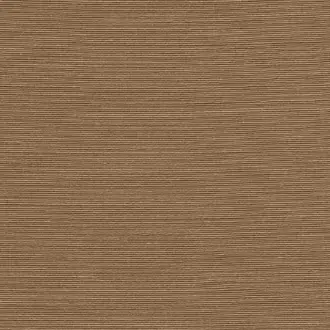 Agave 90535