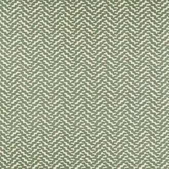 Thicket 134719