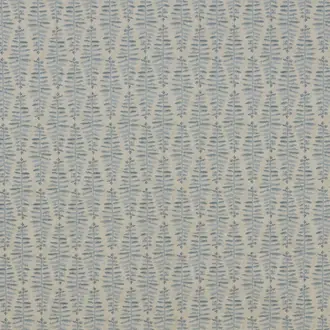 Fernia Denim
