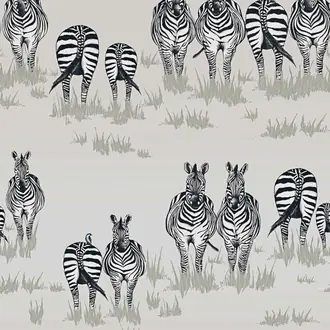 Dazzle JTDA02