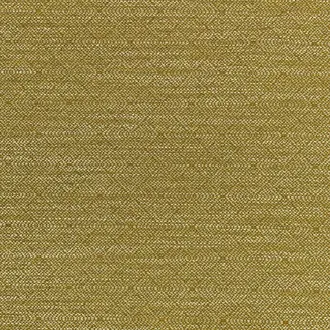 Akalu Elm