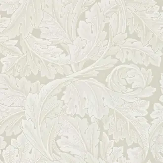 Acanthus 212554