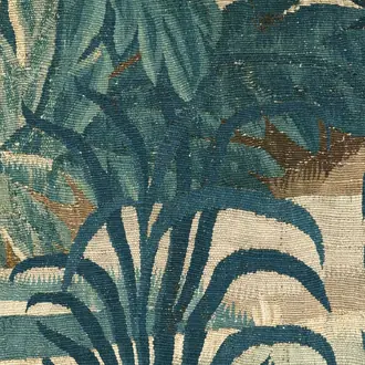 Collines 97900