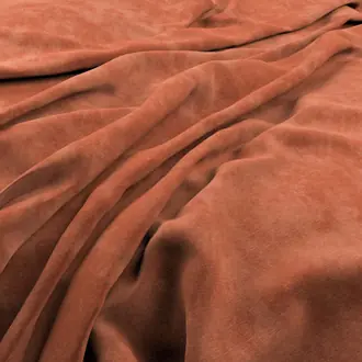 Lovely Coral