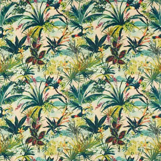 Toucan F1614-02