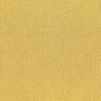 Nikko 15