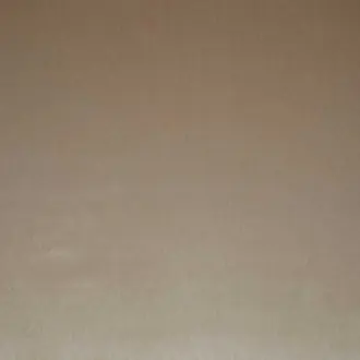 Silken Eggshell