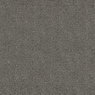 Interview 3691 03 25