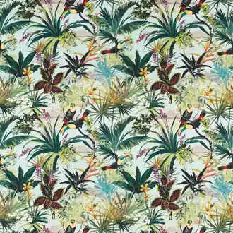 Toucan F1614-03