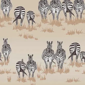Dazzle JTDA03