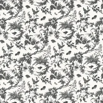 Newlands Toile AF57838