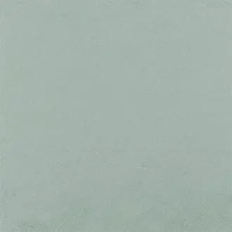 Anshu Alta FDG2897-01