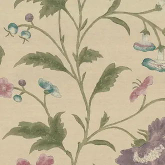 China Rose Sage