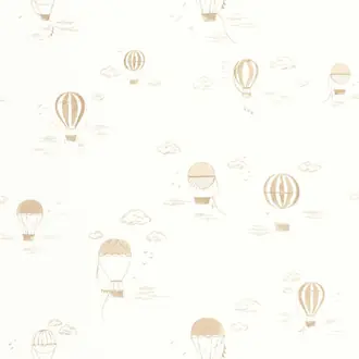 Balloons In The Clouds 200851441