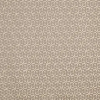 Braxton 4240-655