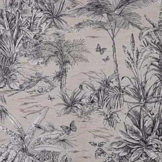 Maui TA001145