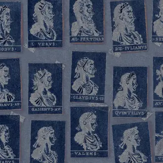 Emperors Blue WP20462