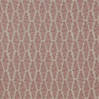 Fernia Dusty Pink