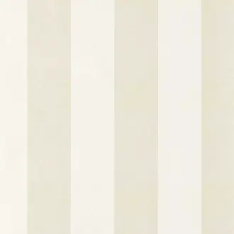 Central Stripe NPOP113419