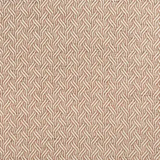 Tangle Terracotta