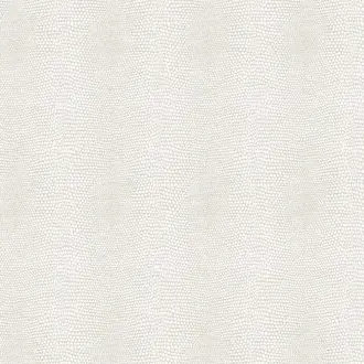 Iguana Ivory