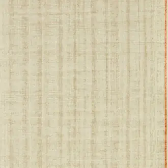 Papyrus 113195
